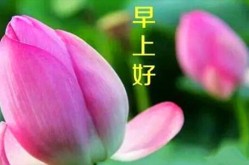 环球认证八大美女一个比一个美观有人被誉为：天下第八大奇妙（十首最美的中秋节诗词速和孩子一齐来进建一下）-福瑞达：4月15日召开事迹注释会投资者到场
